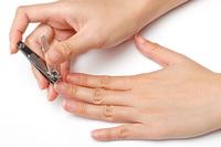 Gambar Gunting Kuku 777 Silver Original Besar Stainless Manicure Pedicure dari Zahra Houseware undefined 4 Tokopedia