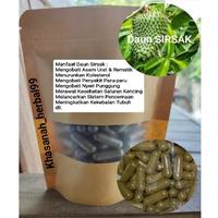 Gambar Daun Sirsak untuk rematik pegal-pegal isi 100 kapsul dari KIOS HERBAL KLATEN undefined 1 Tokopedia