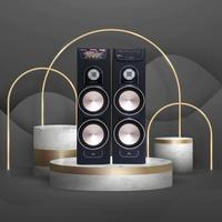 Gambar Speaker Aktif Karaoke Bluetooth Roadmaster Maestro 28 (2x8Inch Woofer) dari Cahaya Abadi Electronics undefined 3 Tokopedia