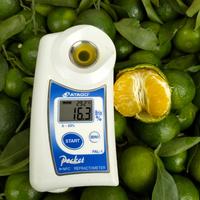 Gambar jeruk santang madu hijau fresh manis per 1 keranjang/box dari toko buah segar albarokah undefined 3 Tokopedia
