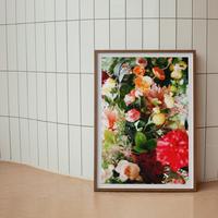 Gambar Cetak Print Poster A2 // Poster Estetik / Print Poster - Albatros dari VORM 3D undefined 2 Tokopedia