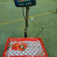 Gambar jeruk santang madu hijau fresh manis per 1 keranjang/box dari toko buah segar albarokah undefined 4 Tokopedia