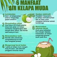 Gambar Air Kelapa Muda Murni Kemasan Botol 500ml dari Kelapa Muda Kang Ujang undefined 2 Tokopedia