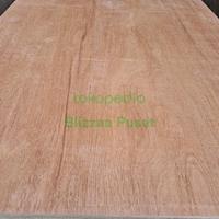 Gambar Triplek / Triplex 4 mm per lembar 122cm x 244cm dari Blizzaa SMJ Pusat undefined 3 Tokopedia