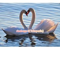 Gambar bebek angsa putih besar Sultan mute swan sepasang import mewah dari riashop-2 undefined 3 Tokopedia