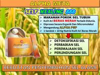 Gambar AlphaMeta (Alpha Meta Kemasan Sachet @ 10 Gram) dari Self Healing 888 undefined 4 Tokopedia
