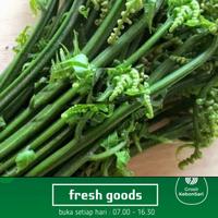 Gambar daun pakis 1 ikat (PO H+1) dari Grosir Kebonsari undefined 1 Tokopedia