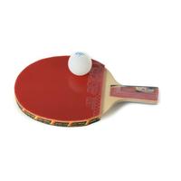 Gambar Double Fish Bat Tenis Meja 4a-e dari Homedecor Bandung undefined 2 Tokopedia