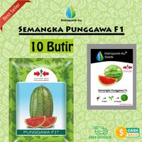 Gambar Bibit/Benih Semangka Punggawa (10 biji) Cap Panah Merah -Hidroponik ku dari Hidroponik Ku undefined 1 Tokopedia