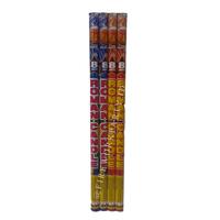 Gambar Kembang Api Roman Candle BIS 777 - 0.8" inch 8 Shots - Isi 4 Batang dari Firework Party ID undefined 2 Tokopedia