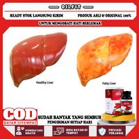 Gambar OILFIT Suplemen Untuk Hati Berlemak & Fatty Liver 50 Kapsul BPOM Halal MUI Hilangkan Lemak Hati dengan Ekstrak Minyak Buah Merah dari sehatherbalstore undefined 1 Tokopedia