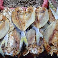 Gambar ikan asin ekor kuning dari RALINE DUO PALU undefined 1 Tokopedia