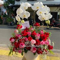 Gambar Rangkaian anggrek bulan asli Jakarta dari Rawa belong florist undefined 2 Tokopedia