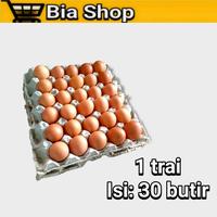 Gambar Telor ayam 1 Tray isi 30 Butir dari Dristy shop undefined 1 Tokopedia