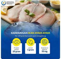 Gambar Ikan Ayam-Ayam / Ikan entong - besar(2-4ekor) dari Tude House Pnk undefined 3 Tokopedia