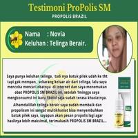 Gambar Obat Tetes Telinga Tuli Sakit Herbal Walatar Propolis SM Original dari Risman Herbal Semarang undefined 2 Tokopedia