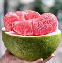 Gambar JERUK BALI PREMIUM GRADE A SUPER 1 BUAH dari Ada Hoki Makmur Mart undefined 5 Tokopedia