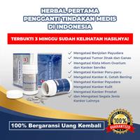 Gambar Ang Cang Lie CessPleng NA NB Kanker Payudara Serviks Tumor Kista Miom dari PT ESBI BATARA NIAGA INDONESIA undefined 3 Tokopedia