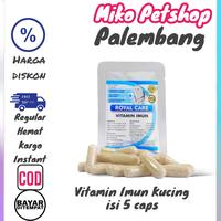 Gambar ROYAL CARE vitamin imun kucing 5 capsul dari Miko Petshop Palembang undefined 1 Tokopedia