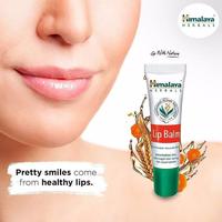 Gambar Himalaya Lip Balm Enriched With Wheatgerm & Carrot Seed Oil Lipbalm dari PUSPITA SHOP OFFICIAL undefined 2 Tokopedia
