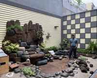 Gambar TAMAN KOLAM KURA-KURA MANCUR MOTIF BATU dari Sanggar Dhira flora undefined 1 Tokopedia
