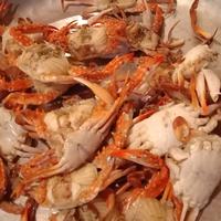 Gambar rajungan baby kecil kepiting dari Samudrapasar undefined 1 Tokopedia