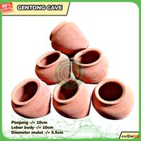 Gambar HIDING CAVE RUMAH IKAN REPTIL PLECO CICHLID SAPU SAPU GENTONG dari UNICORN WHOLESALE undefined 1 Tokopedia
