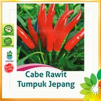 Gambar Benih biji Cabai CABE RAWIT TUMPUK JEPANG Impor premium dari Amanjaya_Store undefined 1 Tokopedia