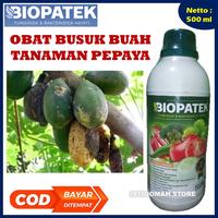 Gambar Obat Semprot Penyakit Busuk Buah Pepaya Daun dan Batang BIOPATEK 500ML dari ISTIQOMAH STORE TASIK undefined 1 Tokopedia