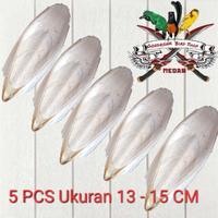 Gambar Tulang Sotong 1 Kantong Isi 5 Pcs dari Gondronk Bird Shop undefined 1 Tokopedia