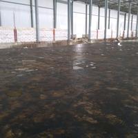 Gambar Flintkote / Primer Elastic Polyurethane Waterproof Coating J215 dari JakartaWaterproofing undefined 5 Tokopedia