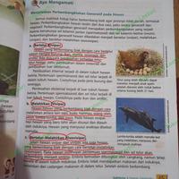 Gambar BUKU BEKAS TEMATIK TERPADU KELAS 6 SD JILID 6A ERLANGGA KURIKULUM 2013 dari Toko Buku Lestari undefined 2 Tokopedia