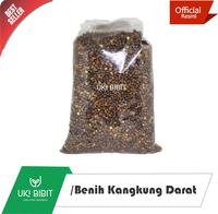 Gambar ( 250 Gram ) Benih Kangkung Darat | Kangkung Cabut Curah | Microgreens - Daun Sempit dari UKI BIBIT undefined 1 Tokopedia