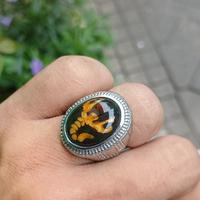 Gambar CINCIN BATU AKIK EDONG PANCAWARNA MOTIF SCORPIO ORIGINAL - 7 dari Skj community undefined 1 Tokopedia