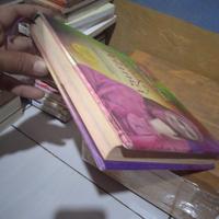 Gambar catatan hati oki setiana dewi. melukis pelangi (hardcover) dari tb.hasibuan naburju undefined 4 Tokopedia