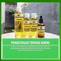 Gambar MINYAK KEMIRI MURNI UNTUK PERAWATAN RAMBUT CAP UPSALUTE 100% MURNI dari UpsaluteMarket undefined 2 Tokopedia
