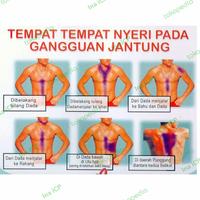 Gambar iCP Capsule Original Herbal Jantung, Stroke, Diabetes, Hipertensi dari Ina iCP undefined 3 Tokopedia
