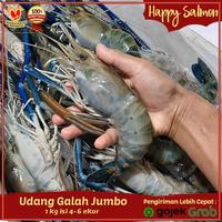 Gambar Udang Galah Segar Jumbo Gede Segar/Fresh 1 kg isi 4-7 ekor dari Happy Salmon jakarta undefined 2 Tokopedia