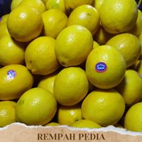 Gambar lemon segar 1kg dari Rempahpedia undefined 1 Tokopedia
