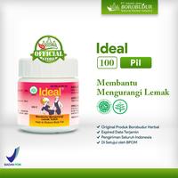 Gambar Ideal 100 Pil - Membantu Mengurangi Lemak Tubuh. dari PT INDUSTRI JAMU BOROBUDUR undefined 1 Tokopedia