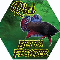 Gambar Ikan Cupang Aduan Import (MDS, Ipoh, Vietnam, Thailand) dari Rici Tiket undefined 1 Tokopedia