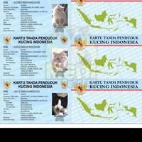 Gambar KTP kucing/identitas kucing /kartu nama hewan dari Medi Petshop undefined 5 Tokopedia