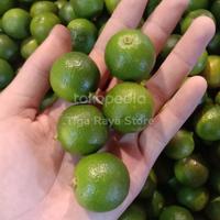 Gambar Jeruk Sonkit Kasturi / Lemon Ciu Pontianak Fresh 1kg dari Tiga Raya Store undefined 1 Tokopedia