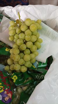 Gambar Anggur Ijo No Biji Green Seedless Grapes Buah Segar Bekasi - 1/2 kg dari WarungSedepan undefined 4 Tokopedia