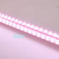 Gambar Lampu LED TANNING Arwana 4 D KONTES QUALITY RECENT KTK SFC Arowana - PVC BERGARANSI, 118 dari GudangExis undefined 2 Tokopedia