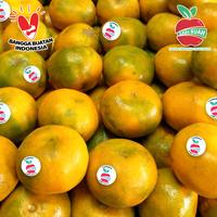 Gambar jeruk medan super dari Sari Buah ID undefined 2 Tokopedia