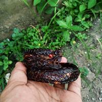 Gambar Gelang Akar Bahar Merah Lentur Ukir Naga Samping - 18 cm dari yoedcraft undefined 2 Tokopedia