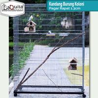 Gambar Kandang Galvanis Lipat Burung Koloni Umbaran Mini Aviary All Size 3 tingkat - 120x70 Kandang, Biru dari Laquila Store undefined 4 Tokopedia