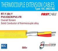Gambar Thermocouple Cable 1x 2x1,3mm2/16AWG Type KX RT-Y(ST)Y (FIRSTCABLE) dari Java Cable Center undefined 1 Tokopedia