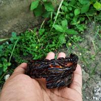 Gambar Gelang Akar Bahar Merah Lentur Ukir Naga Samping - 18 cm dari yoedcraft undefined 4 Tokopedia